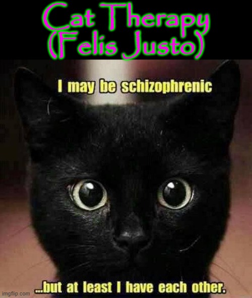 Cat Therapy |  Cat Therapy
(Felis Justo) | image tagged in schizo | made w/ Imgflip meme maker