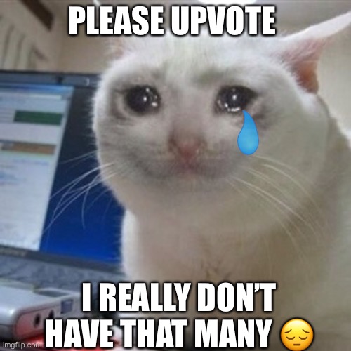 Please upvote and I will also follow your imgflip account | PLEASE UPVOTE; I REALLY DON’T HAVE THAT MANY 😔 | image tagged in crying cat | made w/ Imgflip meme maker