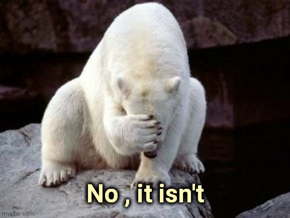 Bear face palm  | No , it isn't | image tagged in bear face palm | made w/ Imgflip meme maker