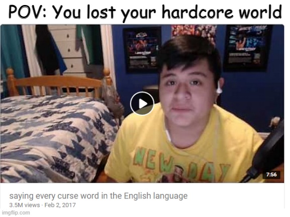 Hurts a lot (read desc) | POV: You lost your hardcore world | image tagged in oh wow are you actually reading these tags | made w/ Imgflip meme maker