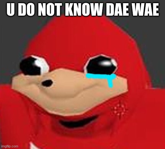 Do u know dae wae | U DO NOT KNOW DAE WAE | image tagged in do u know dae wae | made w/ Imgflip meme maker