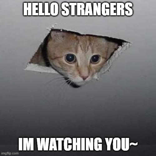 im bored | HELLO STRANGERS; IM WATCHING YOU~ | image tagged in memes,ceiling cat | made w/ Imgflip meme maker
