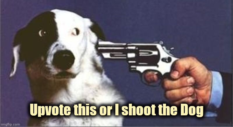 Dog Gun | Upvote this or I shoot the Dog | image tagged in dog gun | made w/ Imgflip meme maker