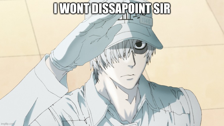 Cells at work meme | I WONT DISSAPOINT SIR | image tagged in cells at work meme | made w/ Imgflip meme maker