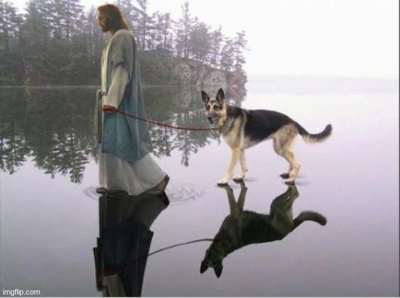 God...dog.... | image tagged in god dog | made w/ Imgflip meme maker