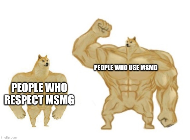 buff doge god doge | PEOPLE WHO USE MSMG; PEOPLE WHO RESPECT MSMG | image tagged in buff doge god doge | made w/ Imgflip meme maker