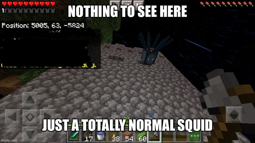 Just keep scrolling... | NOTHING TO SEE HERE; JUST A TOTALLY NORMAL SQUID | image tagged in minecraft,squid,bug | made w/ Imgflip meme maker