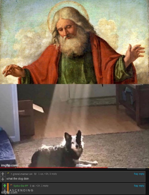 made w/ Imgflip meme maker