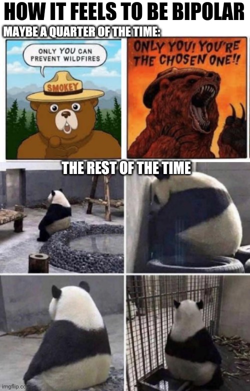 The Earth is Bipolar, and So Are You |  HOW IT FEELS TO BE BIPOLAR; MAYBE A QUARTER OF THE TIME:; THE REST OF THE TIME | image tagged in sad panda,bipolar,mental health,american dream,happy,sad | made w/ Imgflip meme maker