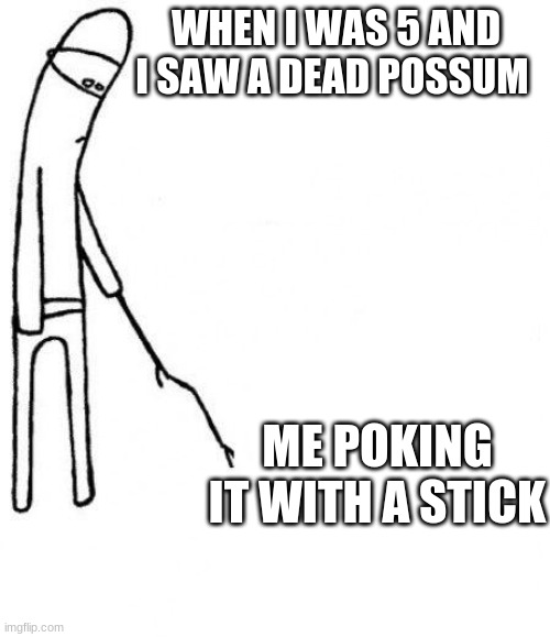 c'mon do something | WHEN I WAS 5 AND I SAW A DEAD POSSUM; ME POKING IT WITH A STICK | image tagged in c'mon do something | made w/ Imgflip meme maker