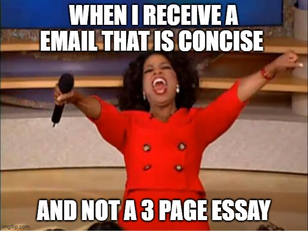 Oprah You Get A | WHEN I RECEIVE A EMAIL THAT IS CONCISE; AND NOT A 3 PAGE ESSAY | image tagged in memes,oprah you get a | made w/ Imgflip meme maker