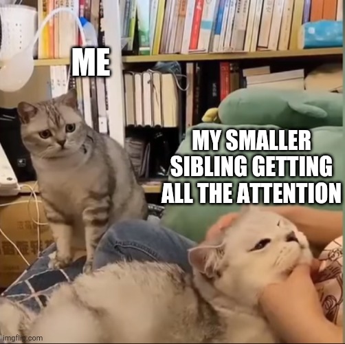True 100 | ME; MY SMALLER SIBLING GETTING ALL THE ATTENTION | image tagged in sad cat looking at happy cat | made w/ Imgflip meme maker