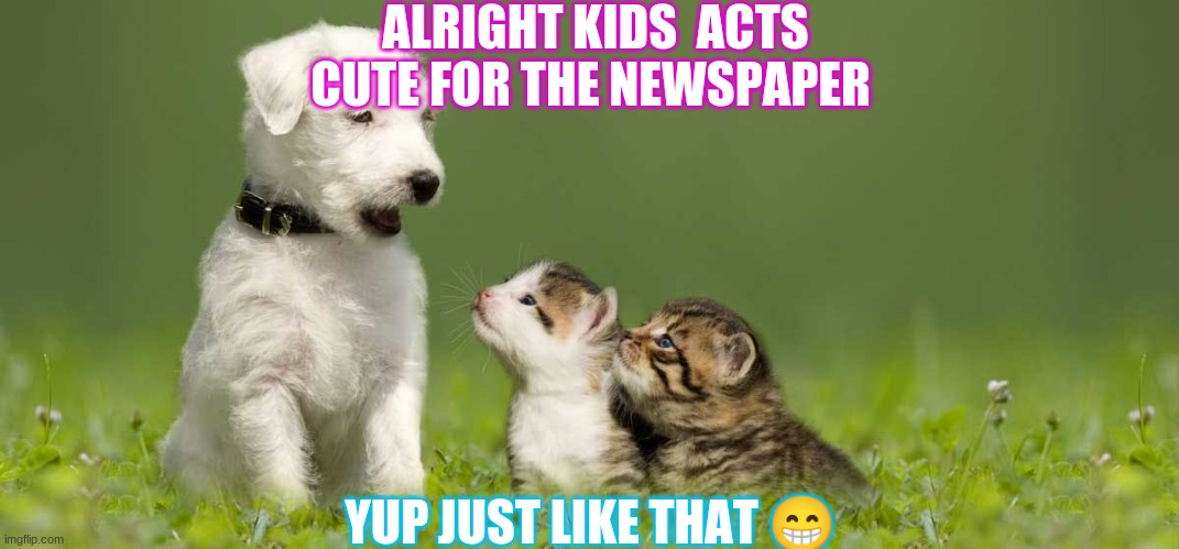 journalist dog | ALRIGHT KIDS  ACTS CUTE FOR THE NEWSPAPER; YUP JUST LIKE THAT 😁 | image tagged in cute cat | made w/ Imgflip meme maker