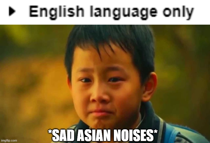 Well, That's a rule | *SAD ASIAN NOISES* | image tagged in sad asian boy | made w/ Imgflip meme maker