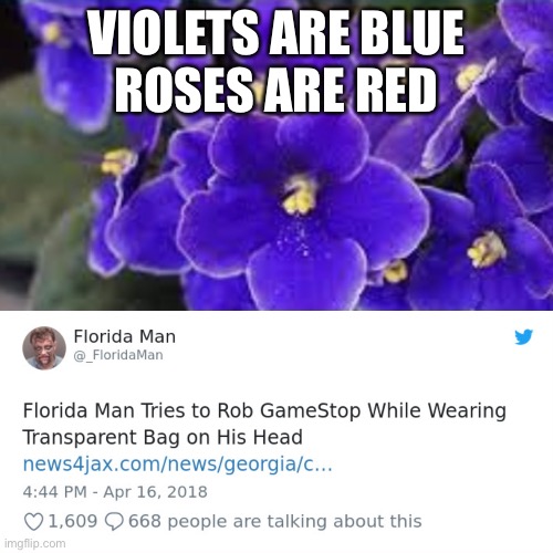 Sad gamer moment | VIOLETS ARE BLUE
ROSES ARE RED | image tagged in funny,florida,florida man,lol,too funny,gaming | made w/ Imgflip meme maker