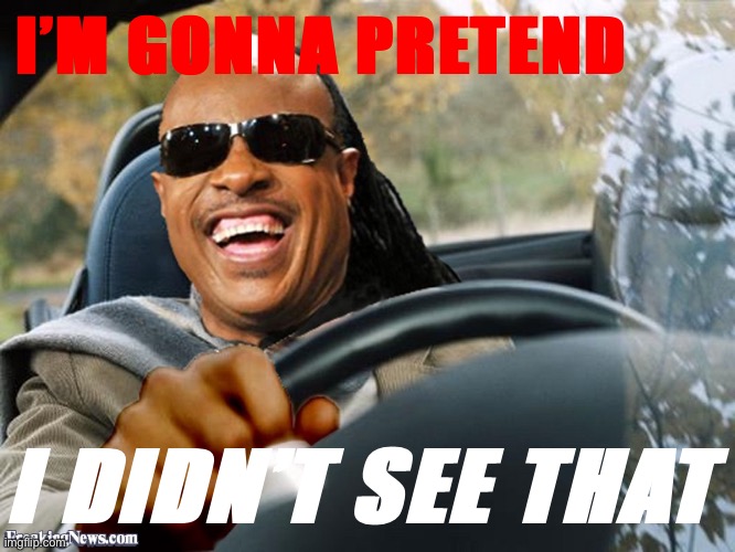 Stevie Wonder Driving | I’M GONNA PRETEND I DIDN’T SEE THAT | image tagged in stevie wonder driving | made w/ Imgflip meme maker