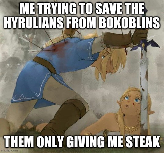 Link and zelda | ME TRYING TO SAVE THE HYRULIANS FROM BOKOBLINS; THEM ONLY GIVING ME STEAK | image tagged in link and zelda | made w/ Imgflip meme maker