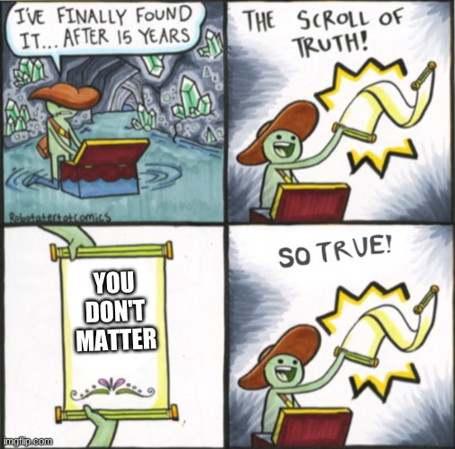 true | YOU DON'T MATTER | image tagged in the real scroll of truth | made w/ Imgflip meme maker