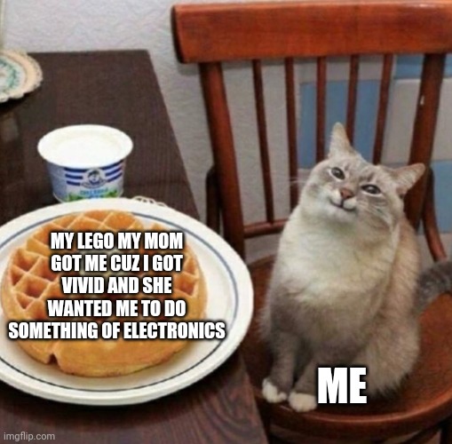 Its doms charger from fast and furious | MY LEGO MY MOM GOT ME CUZ I GOT VIVID AND SHE WANTED ME TO DO SOMETHING OF ELECTRONICS; ME | image tagged in cat likes their waffle | made w/ Imgflip meme maker