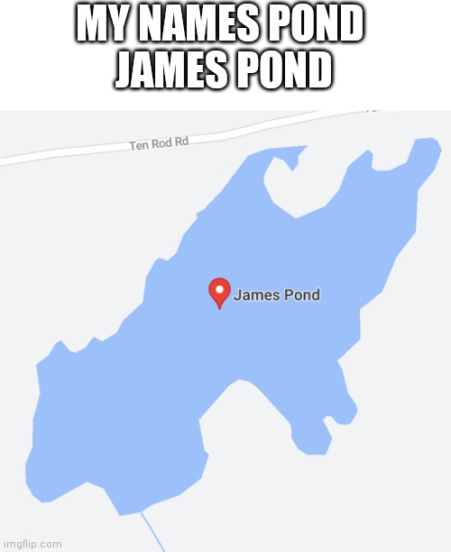 MY NAMES POND 
JAMES POND | image tagged in james bond | made w/ Imgflip meme maker