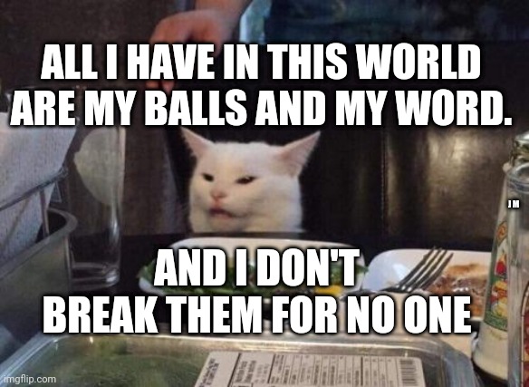 Salad cat | ALL I HAVE IN THIS WORLD ARE MY BALLS AND MY WORD. AND I DON'T BREAK THEM FOR NO ONE; J M | image tagged in salad cat | made w/ Imgflip meme maker