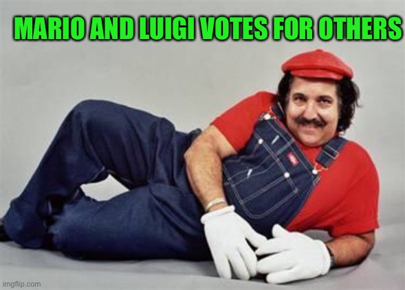 mario ron jeremy | MARIO AND LUIGI VOTES FOR OTHERS | image tagged in mario ron jeremy | made w/ Imgflip meme maker