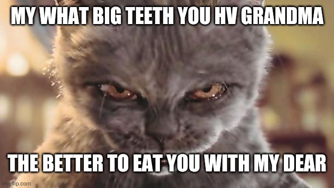 Evil Cat | MY WHAT BIG TEETH YOU HV GRANDMA; THE BETTER TO EAT YOU WITH MY DEAR | image tagged in evil cat | made w/ Imgflip meme maker