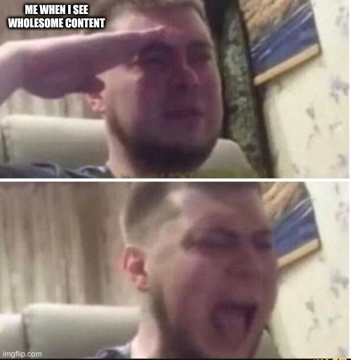 Crying salute | ME WHEN I SEE WHOLESOME CONTENT | image tagged in crying salute | made w/ Imgflip meme maker