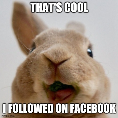 THAT'S COOL I FOLLOWED ON FACEBOOK | made w/ Imgflip meme maker