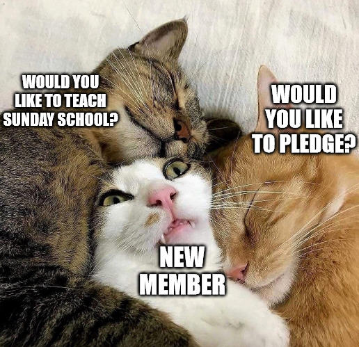 Trapped | WOULD YOU LIKE TO TEACH SUNDAY SCHOOL? WOULD YOU LIKE TO PLEDGE? NEW MEMBER | image tagged in church,dank,christian,memes,r/dankchristianmemes | made w/ Imgflip meme maker