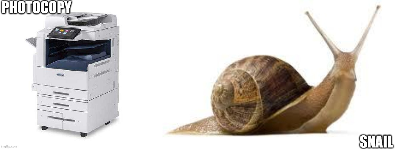 Can someone make a better version of this meme? | PHOTOCOPY; SNAIL | image tagged in snail | made w/ Imgflip meme maker