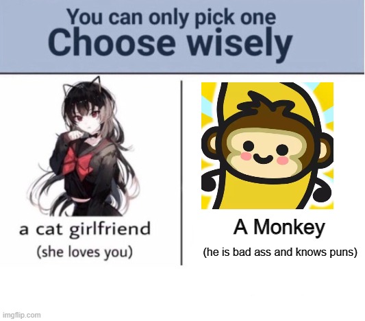 monkey | A Monkey; (he is bad ass and knows puns) | image tagged in choose wisely,roblox monkey | made w/ Imgflip meme maker