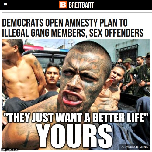 They'll sneak it in during reconciliation - where it cannot be stopped with a filibuster | "THEY JUST WANT A BETTER LIFE"; YOURS | image tagged in liberal logic | made w/ Imgflip meme maker