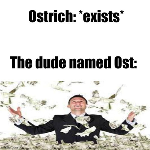 BLANK |  Ostrich: *exists*; The dude named Ost: | image tagged in blank,rich,ostrich,sus,amogus,jesusissus | made w/ Imgflip meme maker
