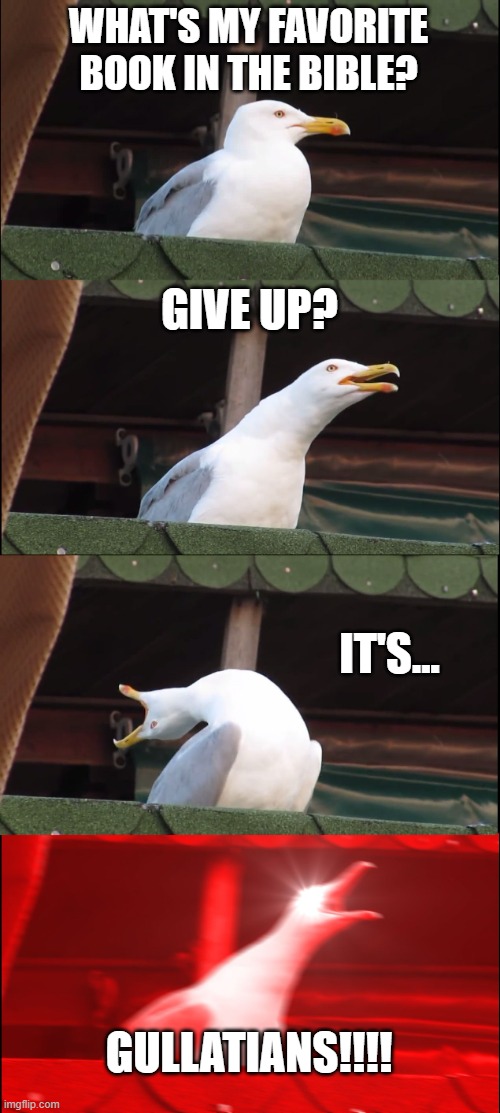Inhaling Seagull Meme | WHAT'S MY FAVORITE BOOK IN THE BIBLE? GIVE UP? IT'S... GULLATIANS!!!! | image tagged in memes,inhaling seagull | made w/ Imgflip meme maker