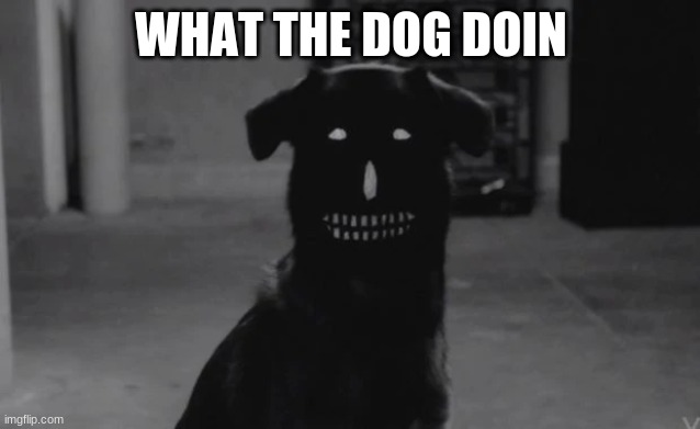 WHAT THE DOG DOIN | made w/ Imgflip meme maker