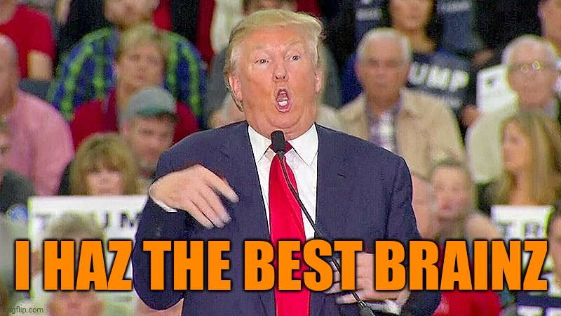 Trump Mocks Reporter | I HAZ THE BEST BRAINZ | image tagged in trump mocks reporter | made w/ Imgflip meme maker