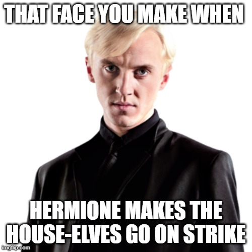 THAT FACE YOU MAKE WHEN; HERMIONE MAKES THE HOUSE-ELVES GO ON STRIKE | made w/ Imgflip meme maker