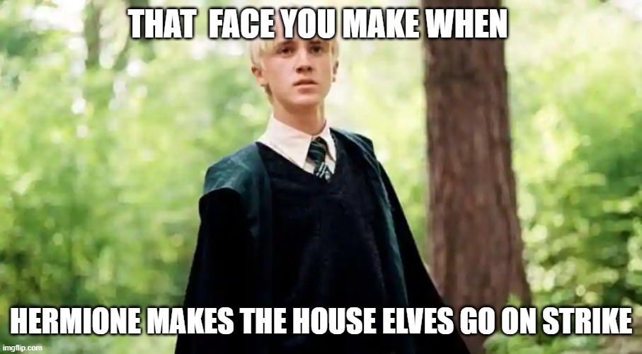 THAT  FACE YOU MAKE WHEN; HERMIONE MAKES THE HOUSE ELVES GO ON STRIKE | made w/ Imgflip meme maker