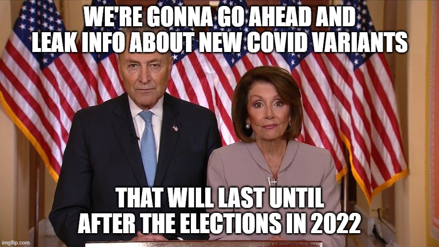 Chuck and Nancy | WE'RE GONNA GO AHEAD AND LEAK INFO ABOUT NEW COVID VARIANTS; THAT WILL LAST UNTIL AFTER THE ELECTIONS IN 2022 | image tagged in chuck and nancy | made w/ Imgflip meme maker