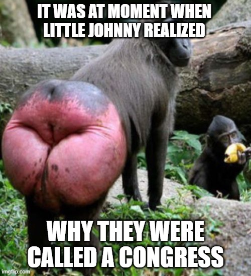 chimps red ass | IT WAS AT MOMENT WHEN LITTLE JOHNNY REALIZED; WHY THEY WERE CALLED A CONGRESS | image tagged in chimps red ass,congress,funny,toilet humor,imgflip | made w/ Imgflip meme maker