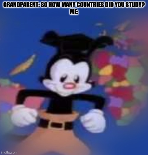 It only takes me 5 minutes | GRANDPARENT: SO HOW MANY COUNTRIES DID YOU STUDY?
ME: | image tagged in yakko | made w/ Imgflip meme maker