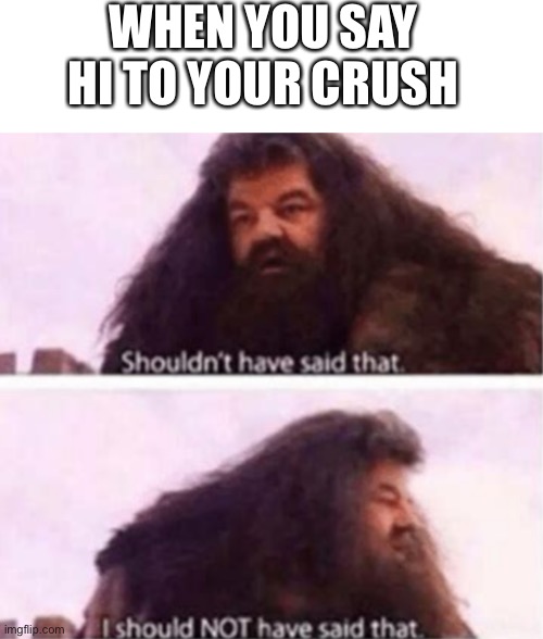 If you know, you know | WHEN YOU SAY HI TO YOUR CRUSH | image tagged in blank white template,shouldn't have said that | made w/ Imgflip meme maker