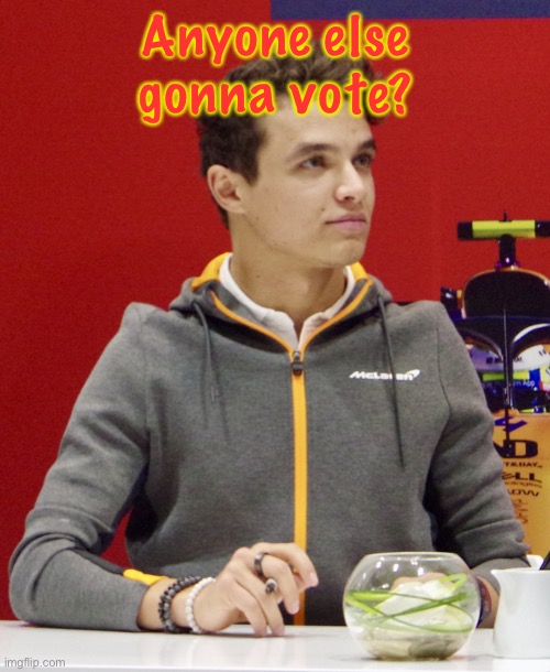 https://strawpoll.com/9z3jb6fgp/r | Anyone else gonna vote? | image tagged in lando norris | made w/ Imgflip meme maker