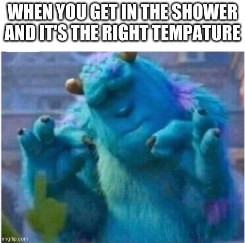 isn't it wonderful | WHEN YOU GET IN THE SHOWER AND IT'S THE RIGHT TEMPATURE | image tagged in pleased sulley | made w/ Imgflip meme maker