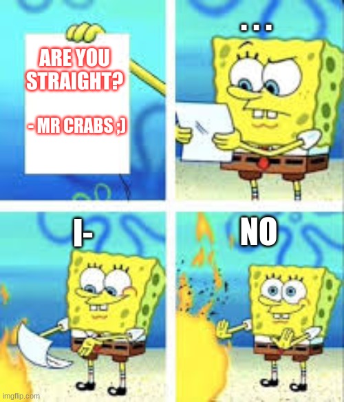 . . . ARE YOU STRAIGHT? - MR CRABS ;); NO; I- | made w/ Imgflip meme maker