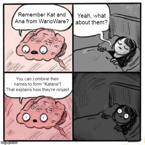 I can feel my brain bleeding! Help! | Yeah, what about them? Remember Kat and Ana from WarioWare? You can combine their names to form "Katana"!
That explains how they're ninjas! | image tagged in are you going to sleep | made w/ Imgflip meme maker