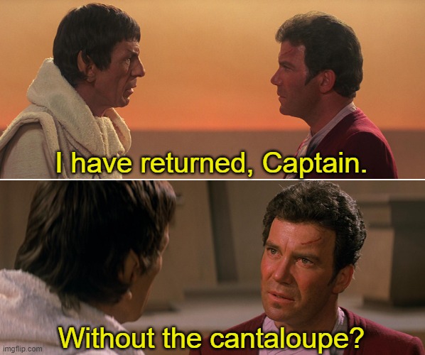 Spock returns, but.... | I have returned, Captain. Without the cantaloupe? | image tagged in star trek,spock,return,melon | made w/ Imgflip meme maker
