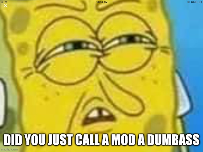 SpongeBob Angry and Confused | DID YOU JUST CALL A MOD A DUMBASS | image tagged in spongebob angry and confused | made w/ Imgflip meme maker