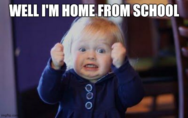 excited kid | WELL I'M HOME FROM SCHOOL | image tagged in excited kid | made w/ Imgflip meme maker